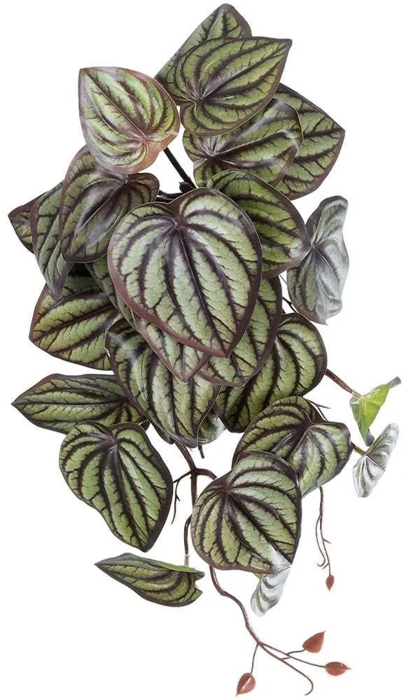 Τεχνητό Κρεμαστό Φυτό Peperomia 20602 45cm Brown-Green GloboStar Fabric