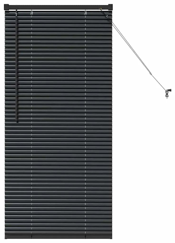 vidaXL Ρολό Παραθύρου με κουρτίνες Μαύρο Αλουμίνιο