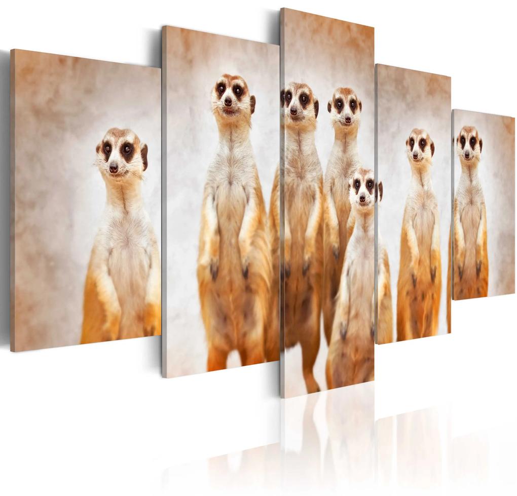 Πίνακας - Family of meerkats - 100x50