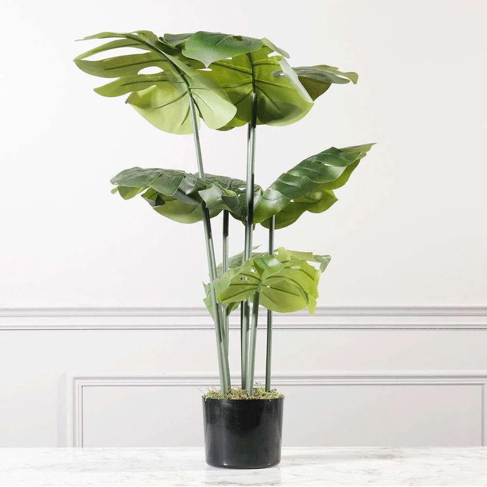 Τεχνητό Φυτό Μονστέρα 8560-6 55x55x90cm Green Supergreens Polyethylene