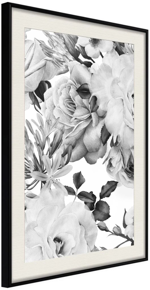 Αφίσα - Black and White Nature - 30x45 - Μαύρο - Με πασπαρτού