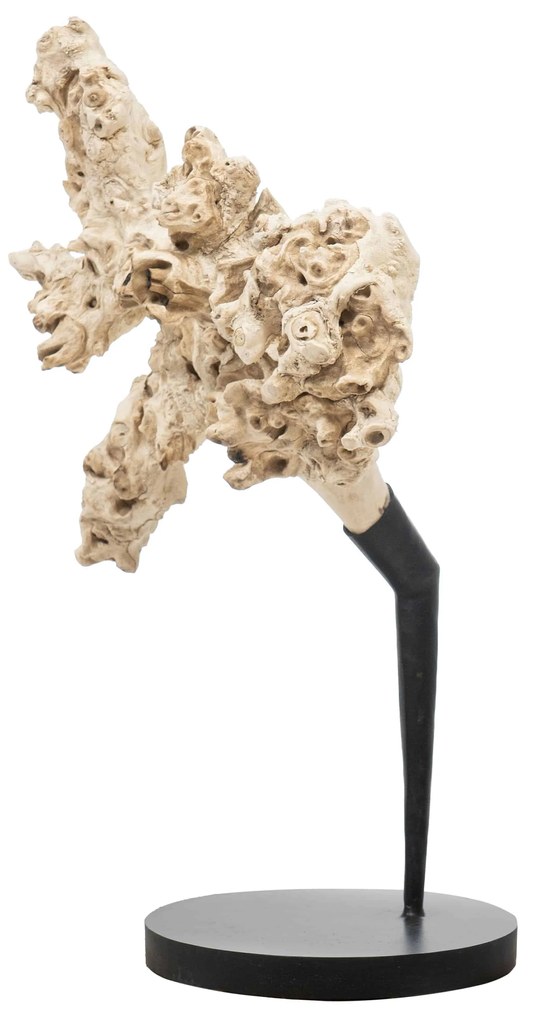 Artwork/Sculpture S Line 62cm S3504-00K4