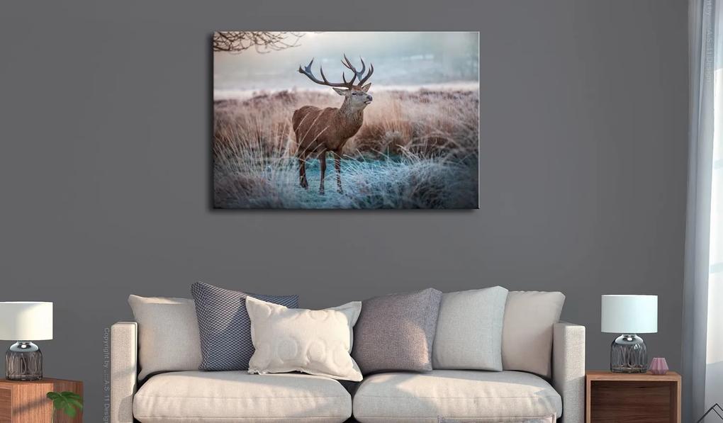 Πίνακας - Wild Animal 120x80
