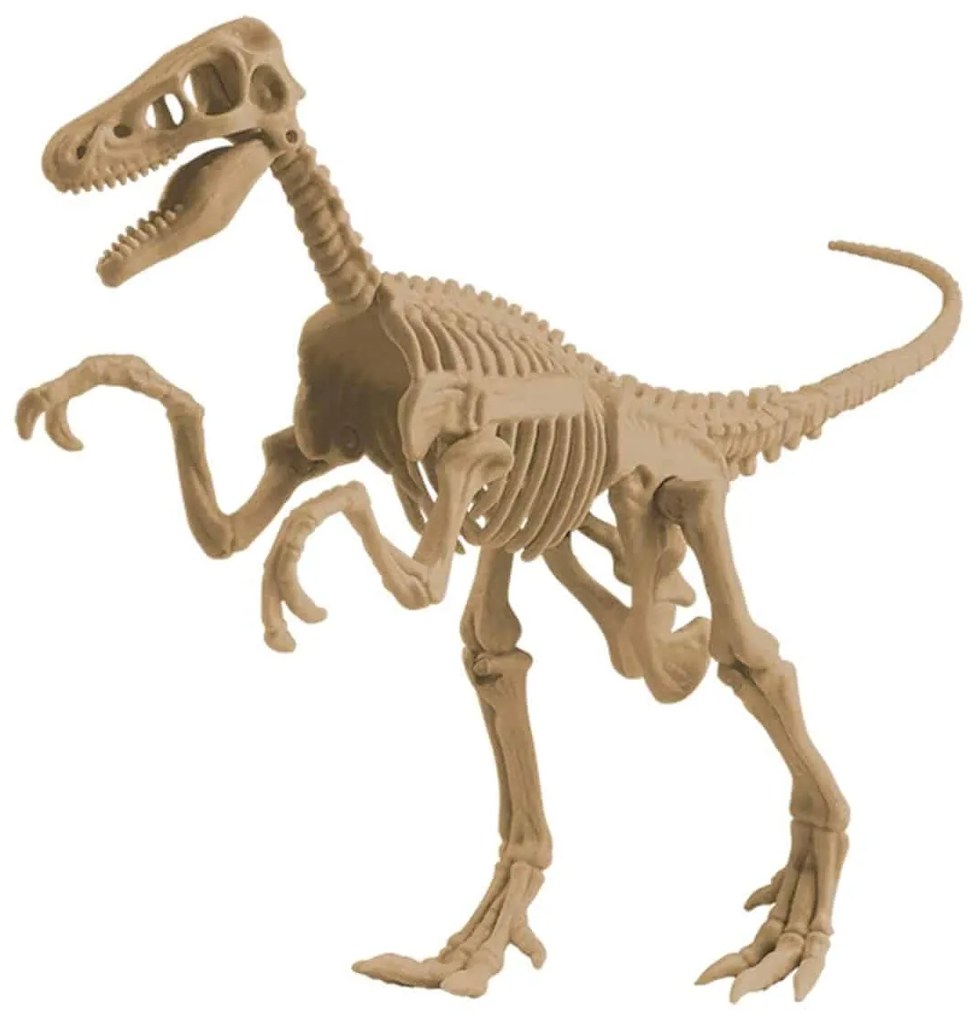 Ανασκαφή Velociraptor EDU SCIENCE