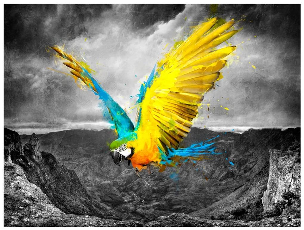 Φωτοταπετσαρία - Exotic parrot 350x270