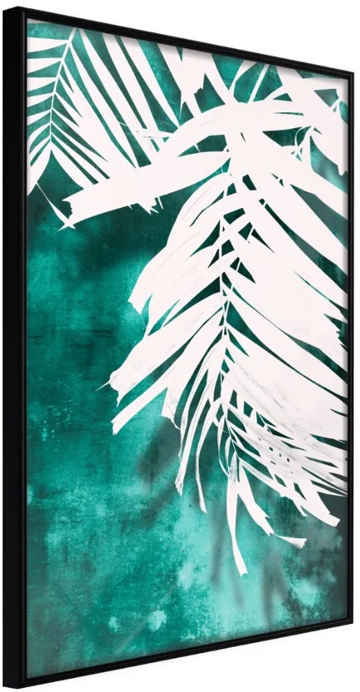 Αφίσα - White Palm on Teal Background - 30x45 - Μαύρο - Χωρίς πασπαρτού