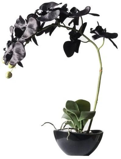 Τεχνητό Φυτό Ορχιδέα Phalaenopsis Real Touch Μαύρη με Κασπώ 48 εκ. 1170-6 Supergreens-1170-6-Μαύρο 1170-6