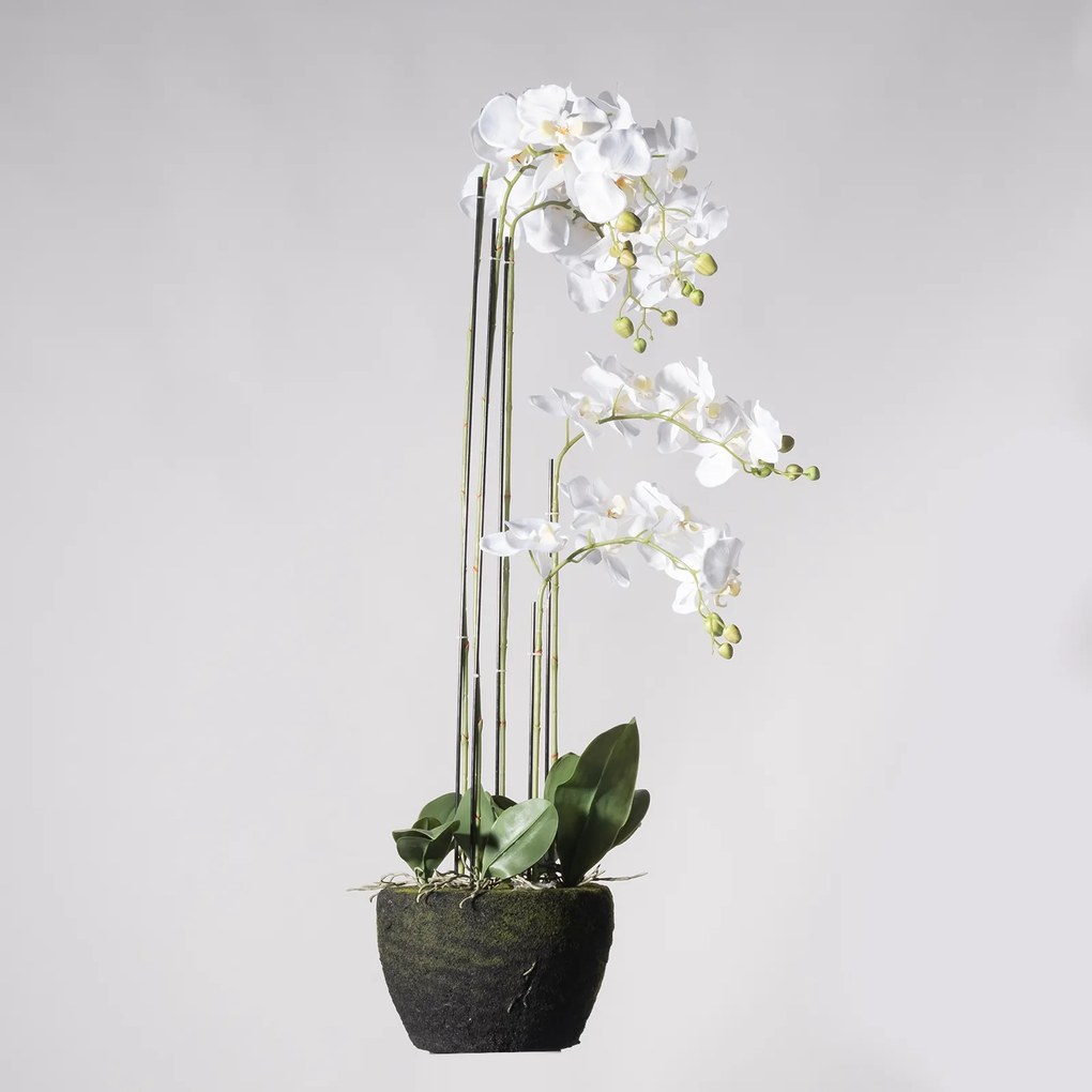 Supergreens Τεχνητό Φυτό Ορχιδέα Phalaenopsis Real Touch Λευκή με Βάση Moss 85 εκ.