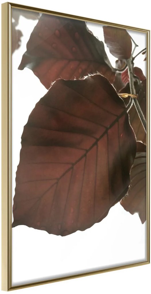 Αφίσα - Burgundy Tilia Leaf - 30x45 - Χρυσό - Χωρίς πασπαρτού