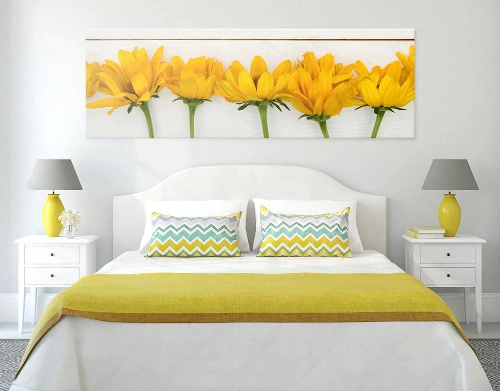 Εικόνα όμορφα κίτρινα λουλούδια - 135x45