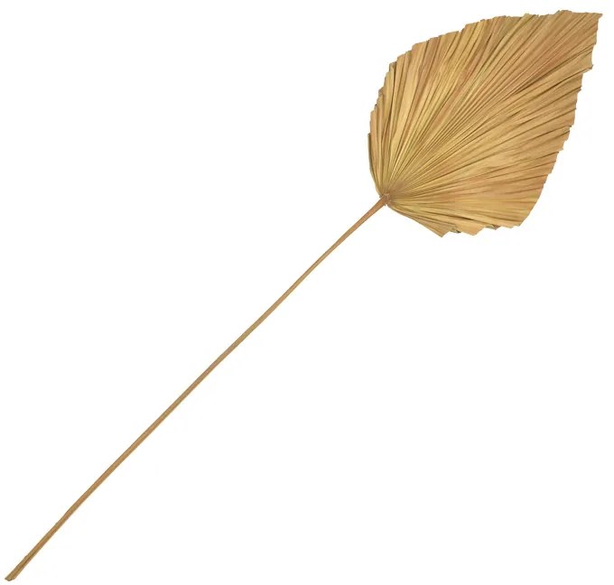 Διακοσμητικό φύλλο Walsy Inart palm leaf σε φυσική απόχρωση Υ135 εκ