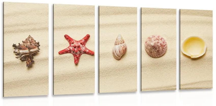 Εικόνα 5 μερών Κοχύλια σε μια αμμώδη παραλία - 200x100