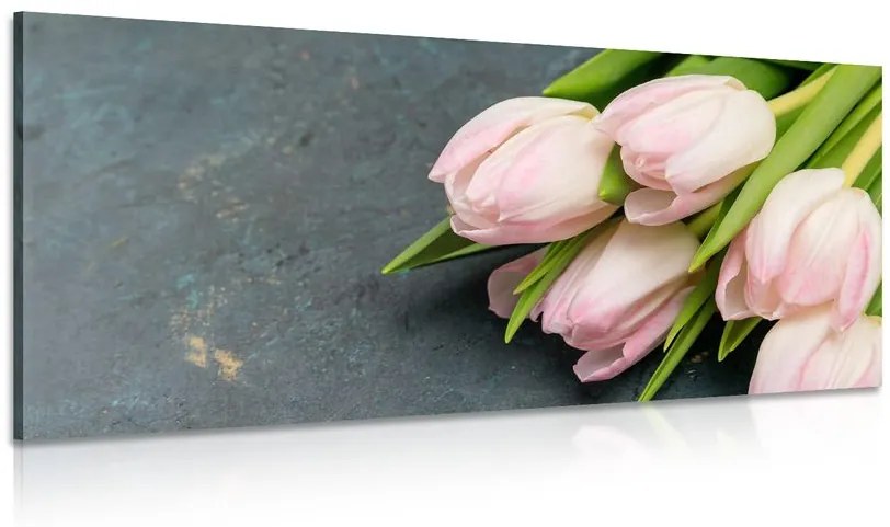 Εικόνα παστέλ ροζ τουλίπες - 120x60