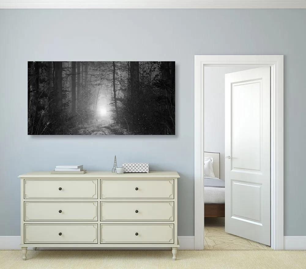 Φως εικόνας στο δάσος σε ασπρόμαυρο - 120x60