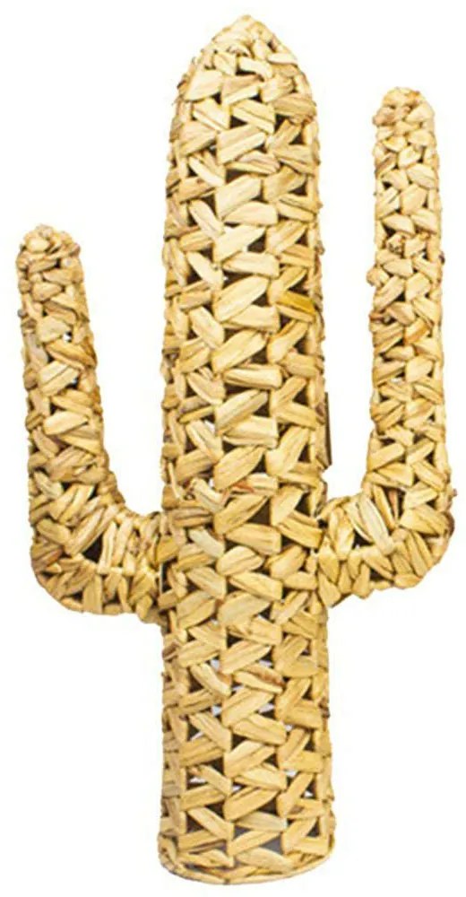 Διακοσμητικός Κάκτος Wanzo 313-000010 76x16x44cm Natural Inart Mat
