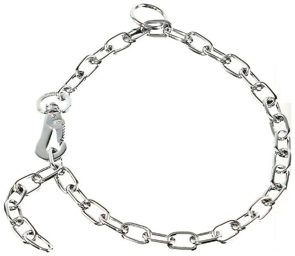 Κολλάρο Σκύλου Hs Sprenger Ασημί 3 mm Σύνδεσμοι Κοντό (45 cm)