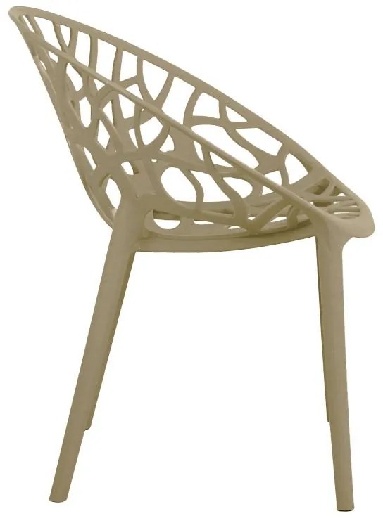 Καρέκλα - Πολυθρόνα Daren pp σε cappuccino απόχρωση 59x60x79,5 εκ. 59x60x79.5 εκ.