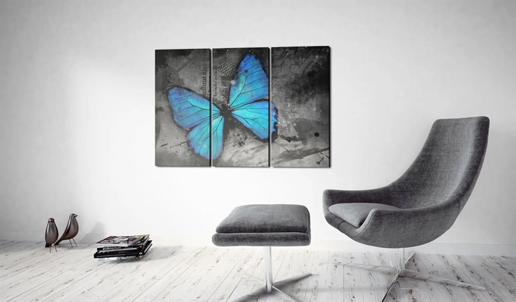 Πίνακας - The study of butterfly - triptych 60x40