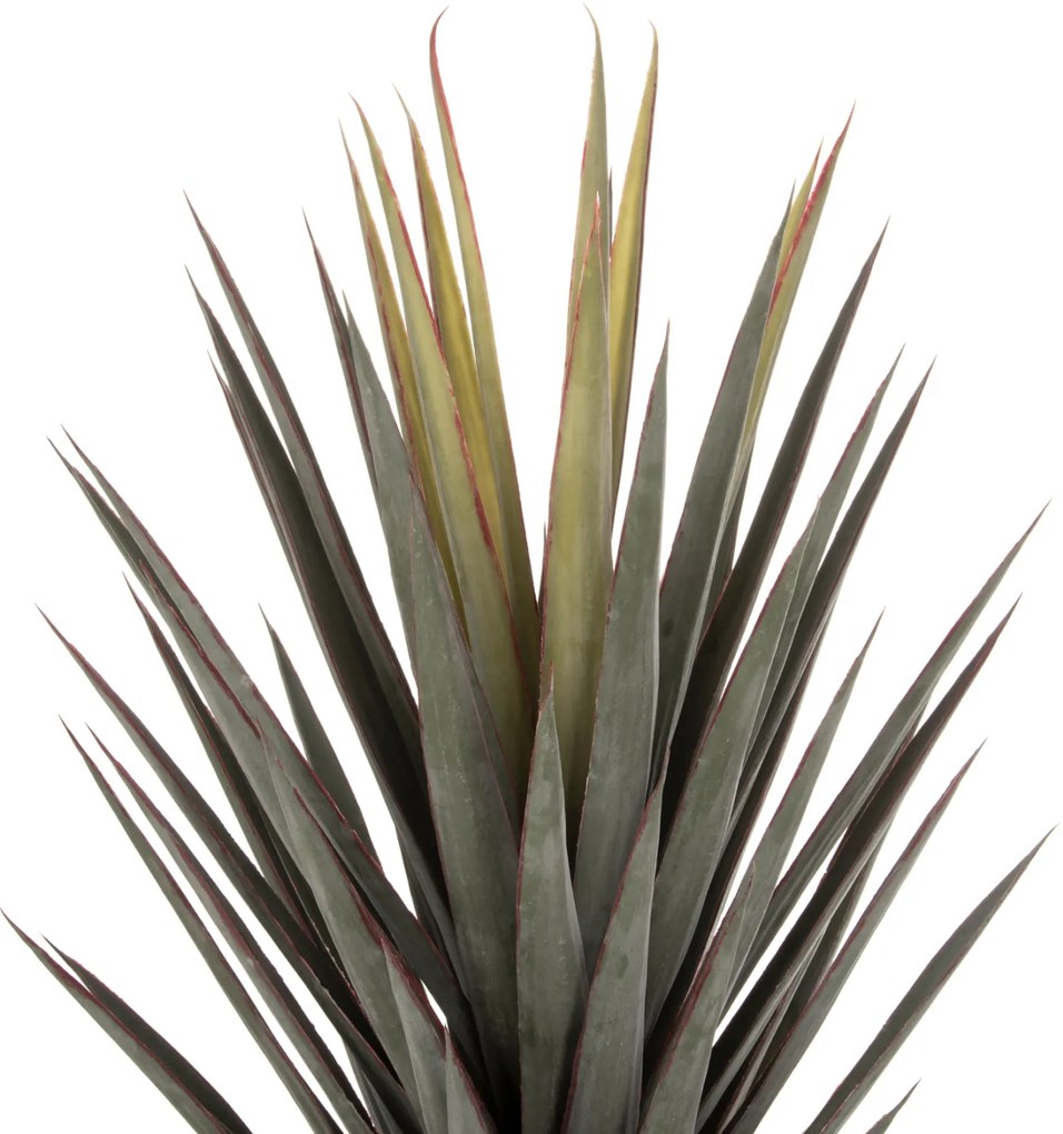 ΔΙΑΚΟΣΜΗΤΙΚΟ ΣΥΝΘΕΤΙΚΟ ΦΥΤΟ HM7987 SISAL AGAVE ΣΕ ΓΛΑΣΤΡΑ 120Υεκ. - 0419642 - HM7987