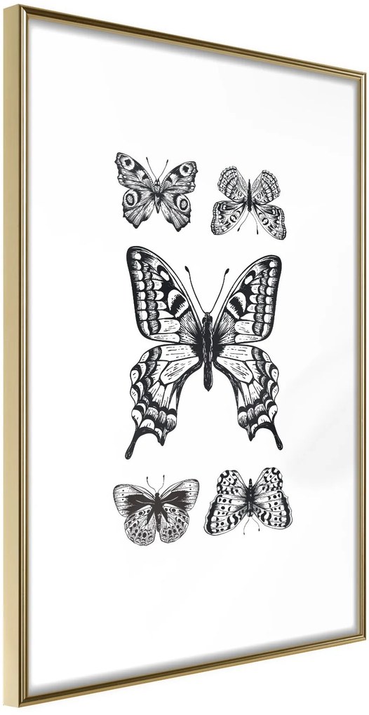 Αφίσα - Butterfly Collection IV - 20x30 - Χρυσό - Χωρίς πασπαρτού