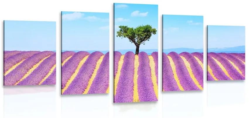 Εικόνα 5 μερών χωράφι με λεβάντα της Προβηγκίας - 100x50