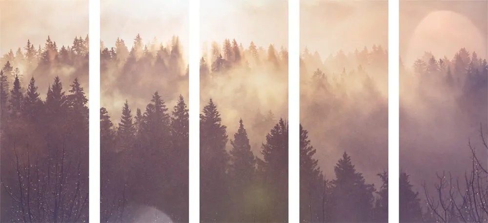 Εικόνα 5 μερών ομίχλη πάνω από το δάσος - 200x100
