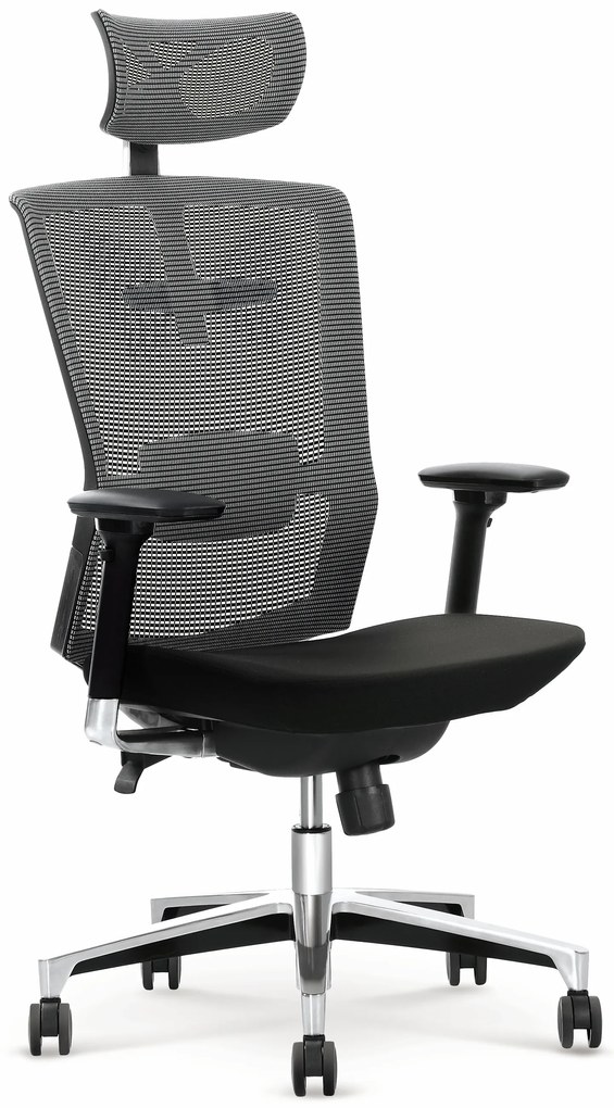 AMBASADOR o. chair DIOMMI V-CH-AMBASADOR-FOT DIOMMI-60-20309