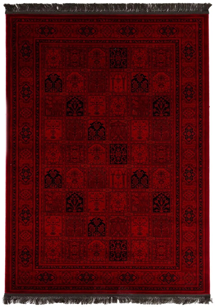 Κλασικό χαλί Afgan 8129H D.RED Royal Carpet - 240 x 300 cm - 11AFG8129H77.240300