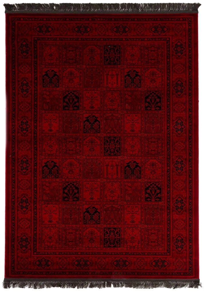 Κλασικό χαλί Afgan 8129H D.RED Royal Carpet - 240 x 300 cm