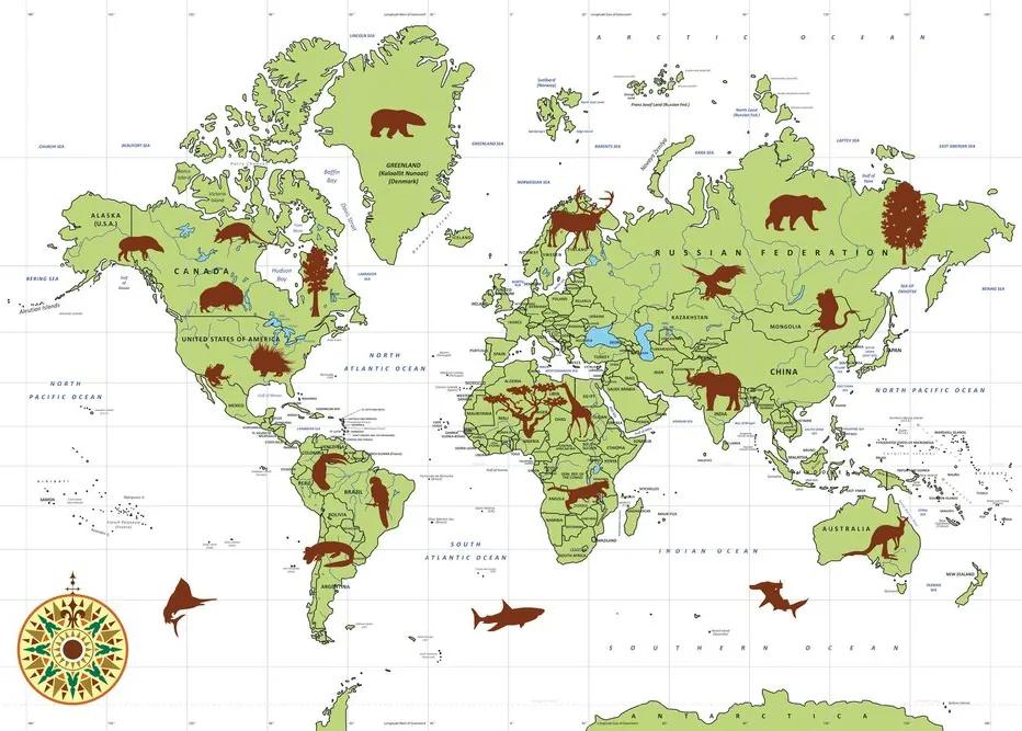 Εικόνα στο χάρτη του φελλού με τα ζώα - 90x60  wooden