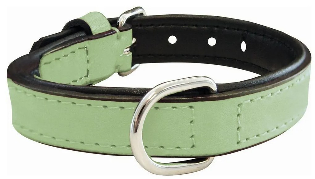 Κολλάρο Σκύλου Gloria Γεμισμένο Πράσινο (30 x 1,5 cm)