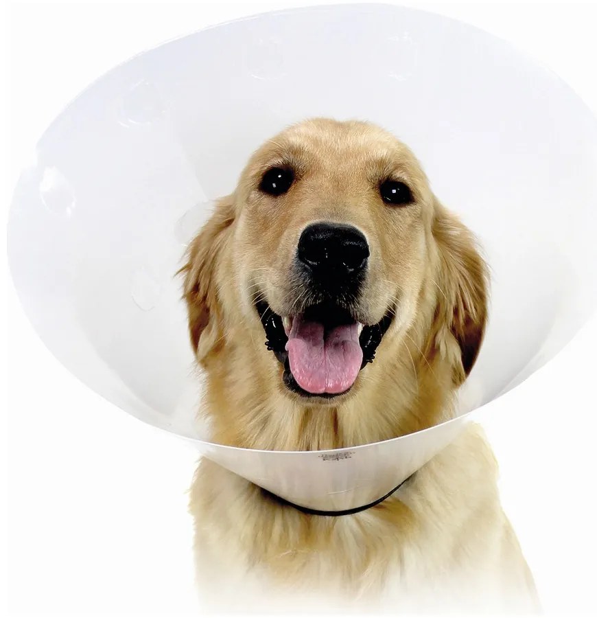 Ελισαβετιανό Κολάρο για Σκύλους KVP Check Διαφανές (34-43 cm)