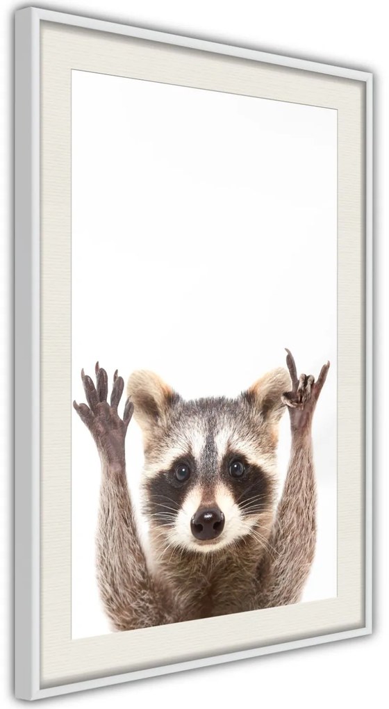 Αφίσα - Funny Racoon - 20x30 - Χρυσό - Χωρίς πασπαρτού