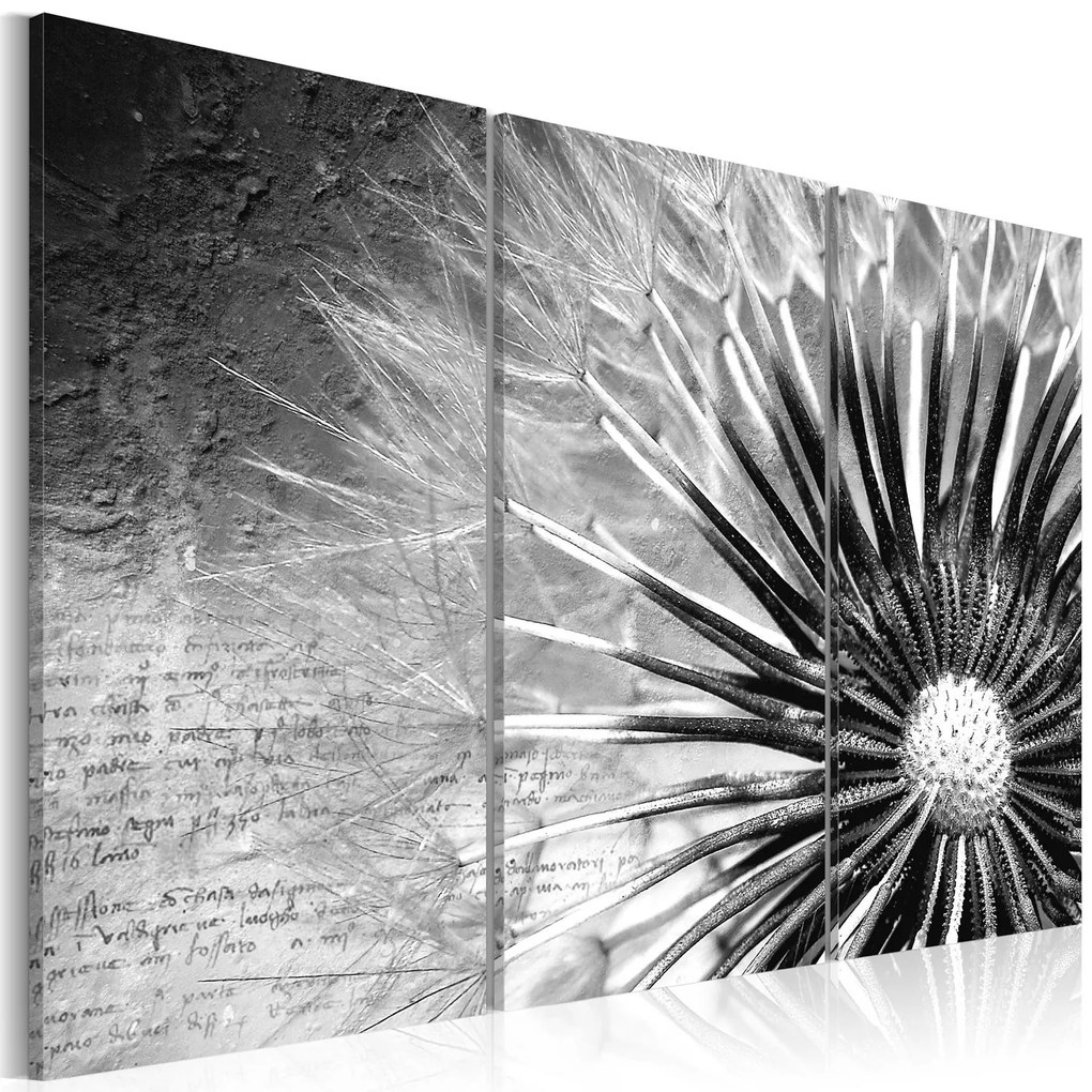 Πίνακας - dandelion (black and white) 60x40