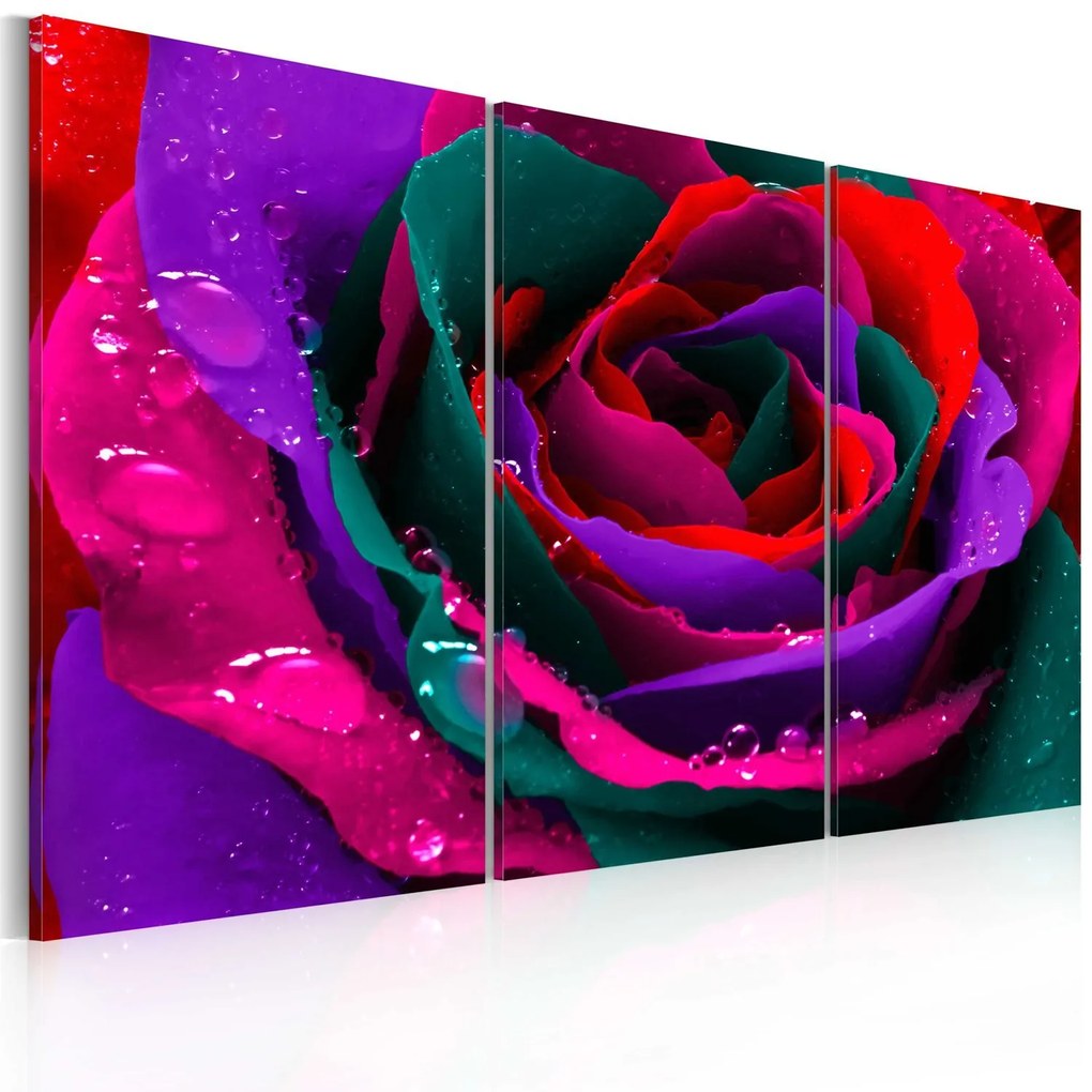 Πίνακας - Rainbow-hued rose 90x60