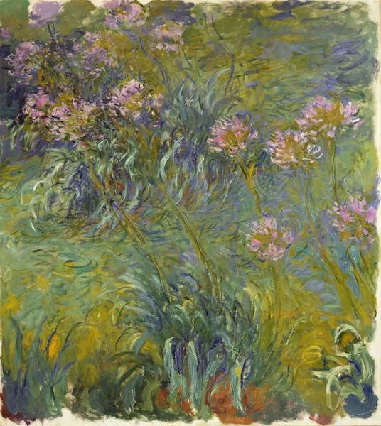 Claude Monet - Εκτύπωση έργου τέχνης Agapanthus, 1914-26, (35 x 40 cm)