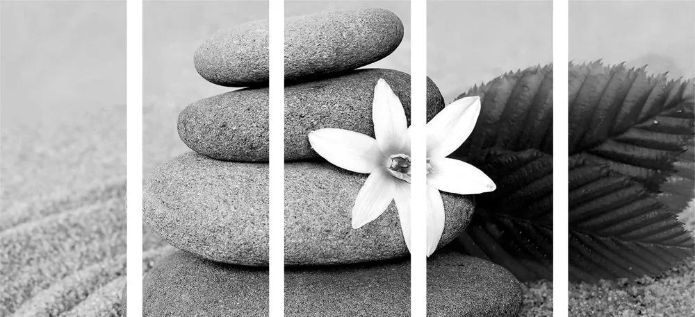 Εικόνα 5 μερών λουλούδι και πέτρες στην άμμο σε μαύρο & άσπρο - 200x100