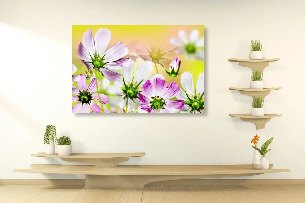Εικόνα καλοκαιρινά λουλούδια - 60x40