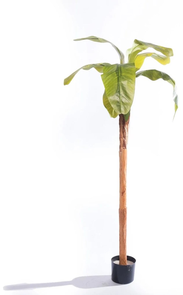 Supergreens Τεχνητό Δέντρο Μπανανιά "Musa Vertica" Πράσινο160 εκ