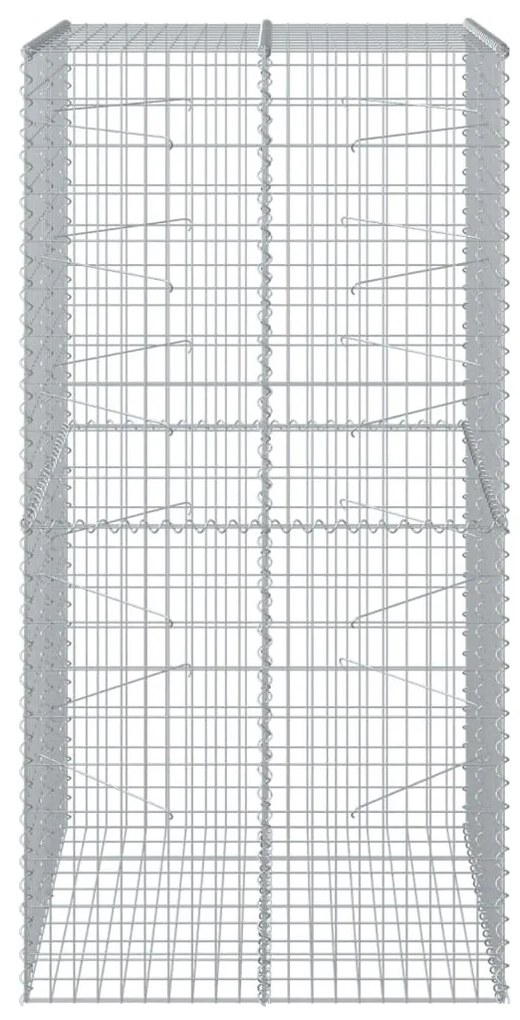 vidaXL Συρματοκιβώτιο με Κάλυμμα 100x100x200εκ από Γαλβανισμένο Χάλυβα