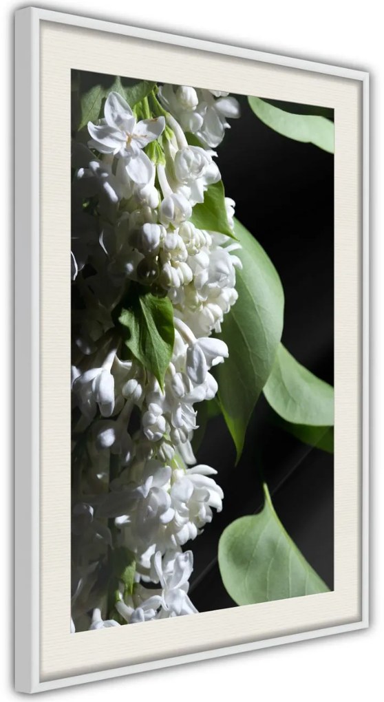 Αφίσα - Fragrant Spring - 20x30 - Χρυσό - Χωρίς πασπαρτού