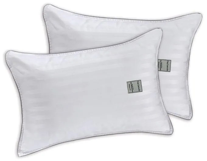Ζεύγος Μαξιλάρια Ύπνου Μαλακά (50x70) Guy Laroche Easy Fit Firm Hollowfiber