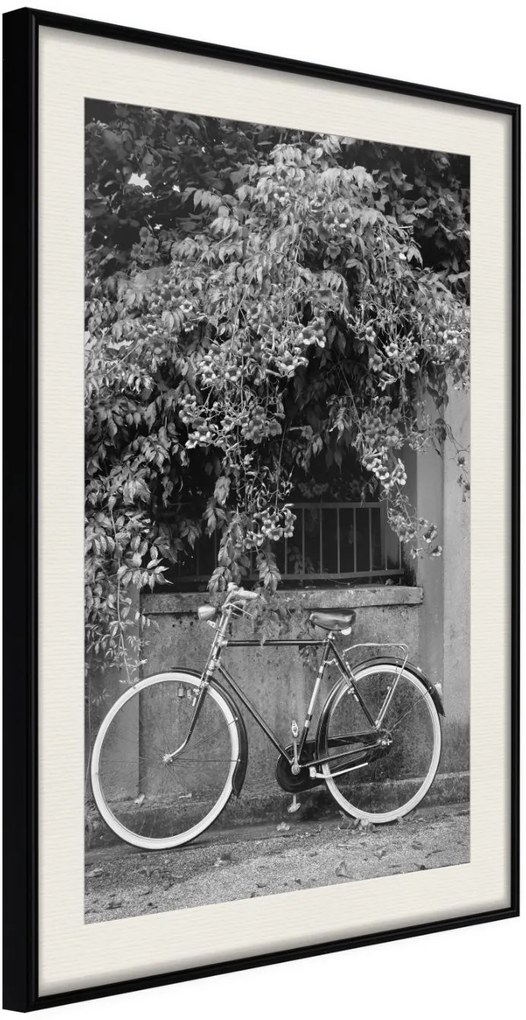 Αφίσα - Bicycle with White Tires - 30x45 - Μαύρο - Με πασπαρτού