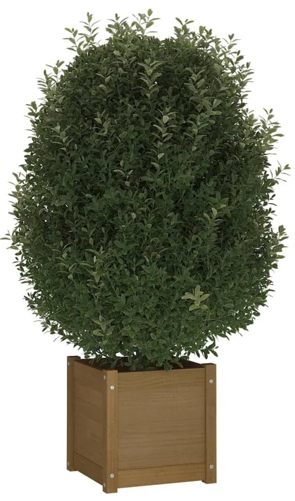 vidaXL Ζαρντινιέρες 2 τεμ. Μελί 40 x 40 x 40 εκ. από Μασίφ Ξύλο Πεύκου