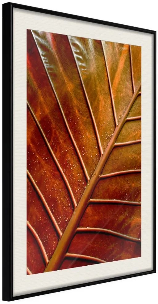 Αφίσα - Bronze Leaf - 20x30 - Μαύρο - Με πασπαρτού