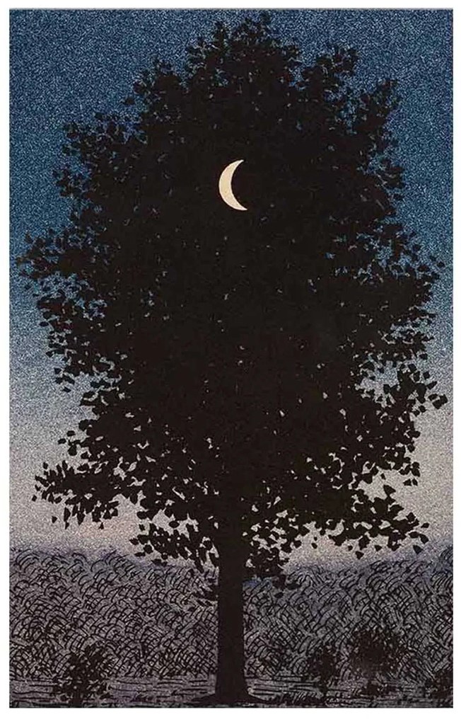 ΠΙΝΑΚΑΣ TOIXOY ΣΕΙΡΑ GOBI HM4850 ΕΚΤΥΠΩΜΕΝΟΣ ΚΑΜΒΑΣ 45x3(πάχος)x70Yεκ.