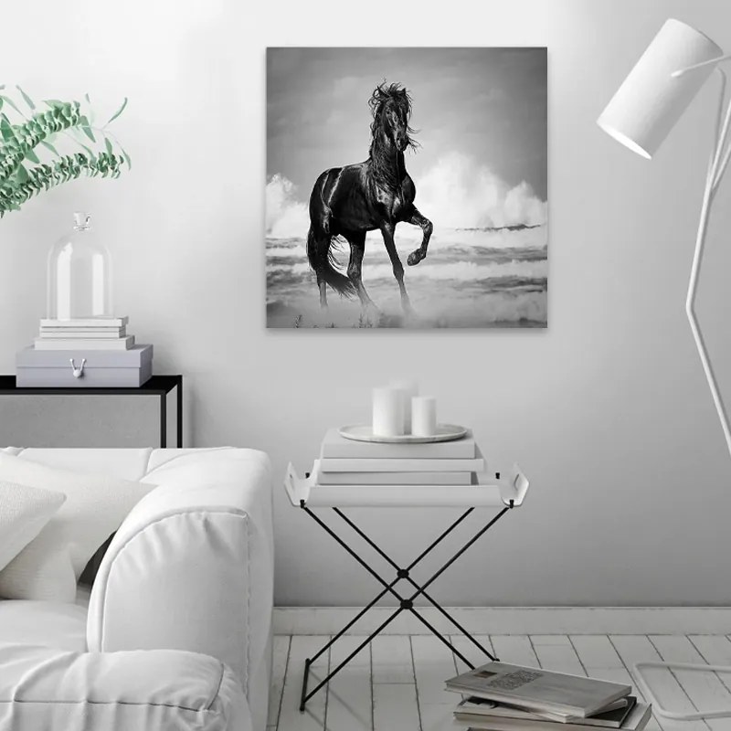 Πίνακας σε καμβά Black Horse Megapap ψηφιακής εκτύπωσης 60x60x3εκ. - GP033-0088 - GP033-0088