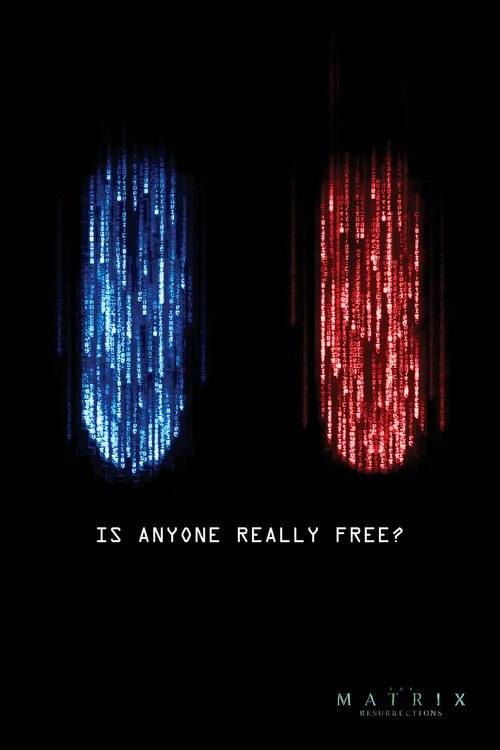 XXL Αφίσα Matrix - Is anyone really free?, (80 x 120 cm)