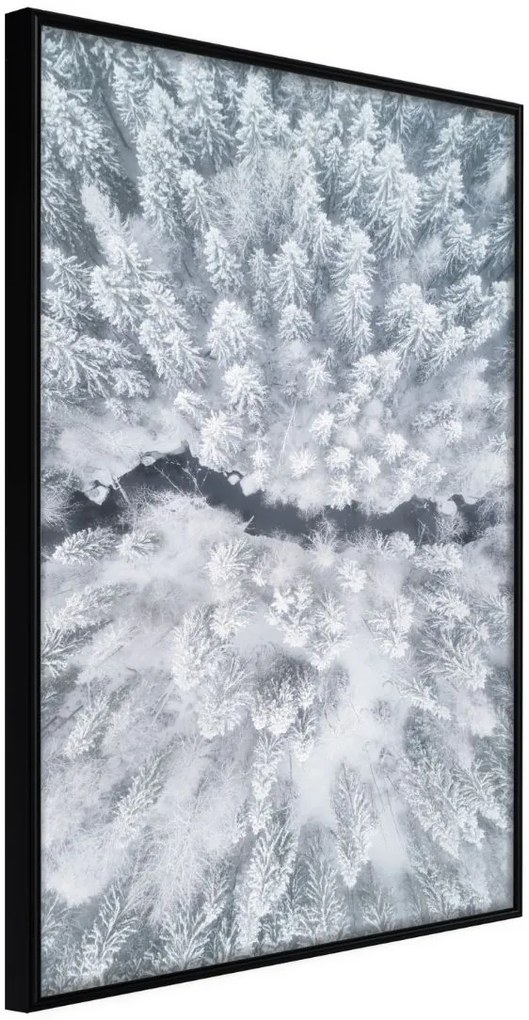 Αφίσα - Winter Forest From a Bird's Eye View - 20x30 - Μαύρο - Χωρίς πασπαρτού