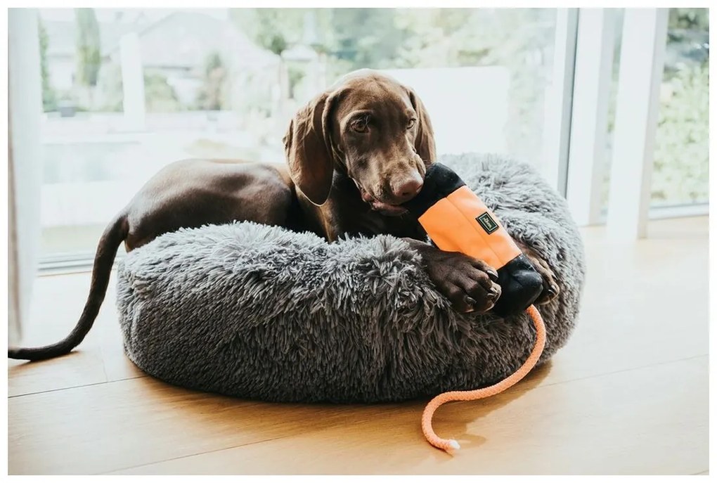 Δοχείο Hunter Dummy Snacks Μαύρο Πορτοκαλί